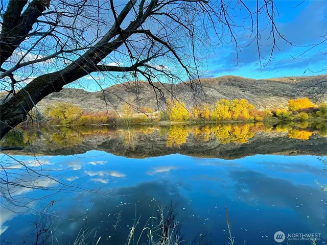 a view of an outdoor space and a yard