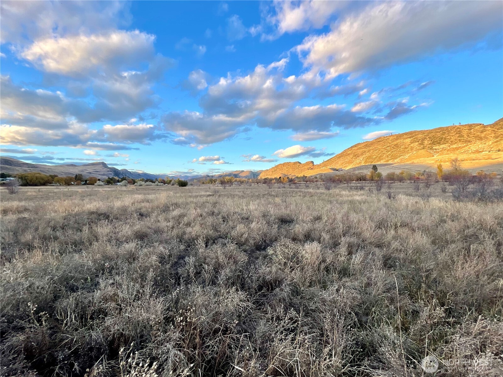 -tbd Seahawk Drive Riverside, WA 98849 - Photo 8 of 15 a view of a field