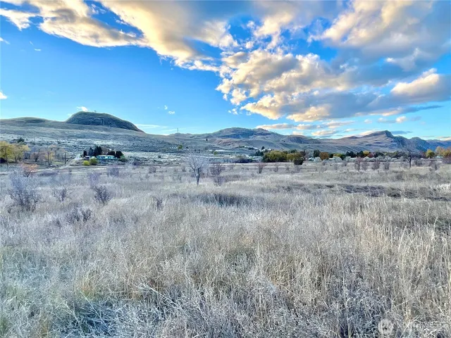 a plant is in the middle of a field