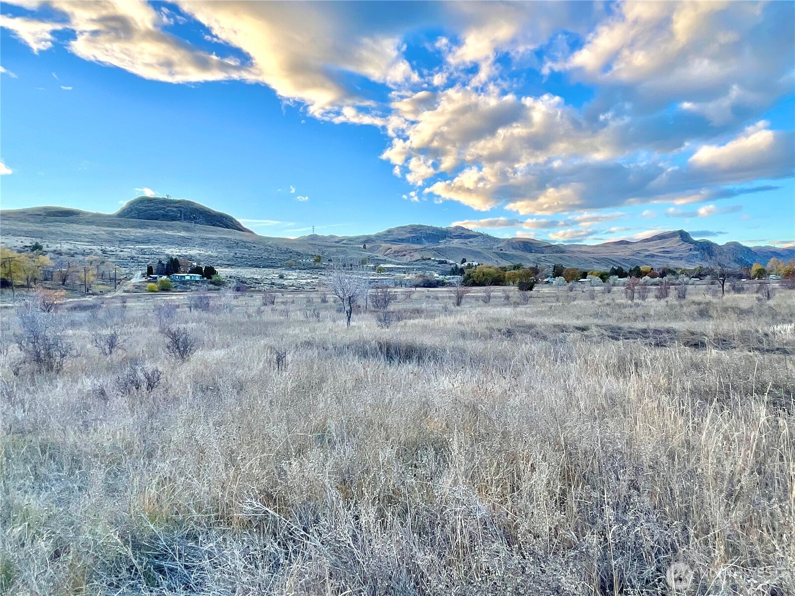 -tbd Seahawk Drive Riverside, WA 98849 - Photo 9 of 15 a view of a dry yard with large trees