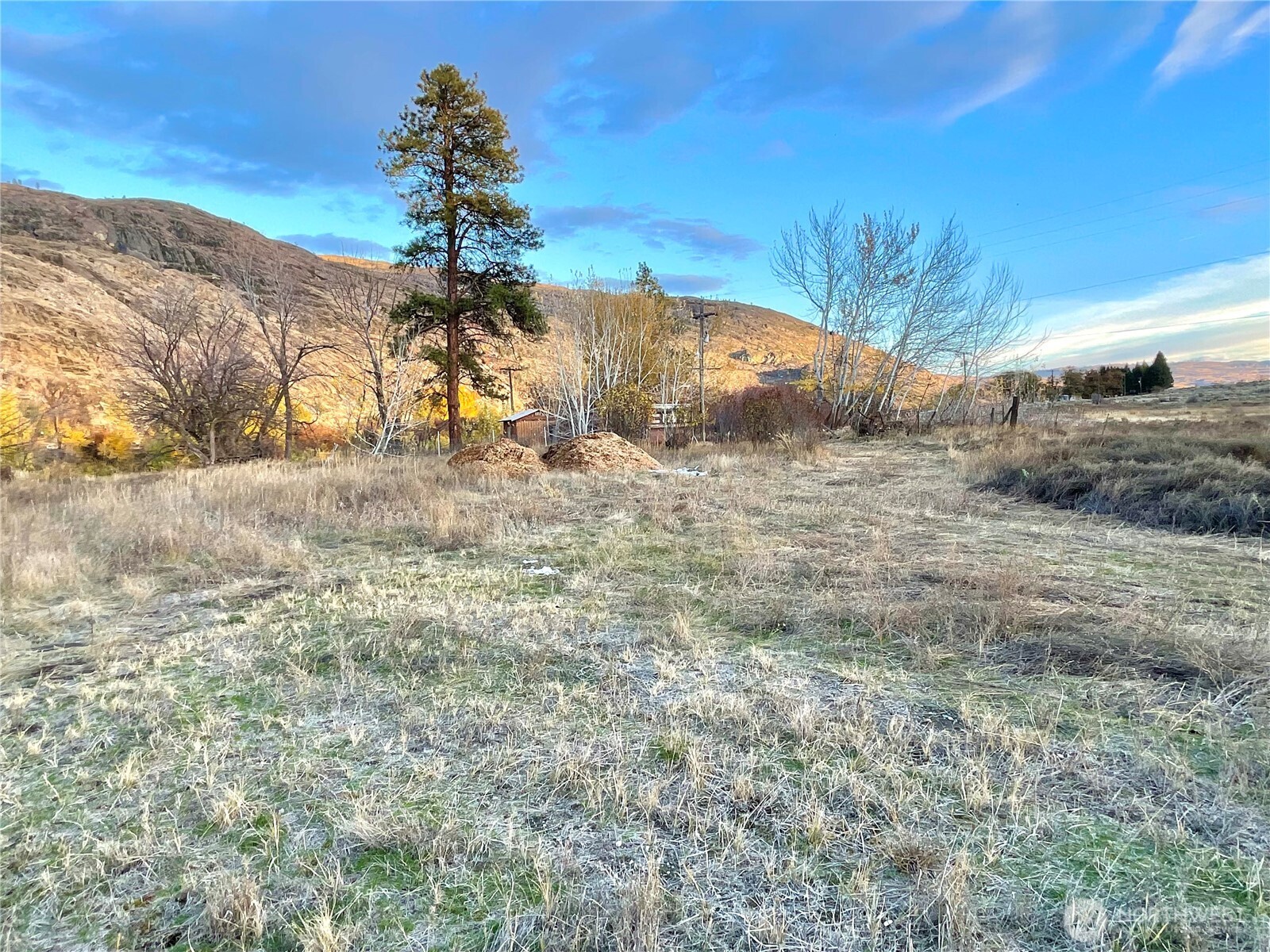 -tbd Seahawk Drive Riverside, WA 98849 - Photo 10 of 15 a plant is in the middle of a field