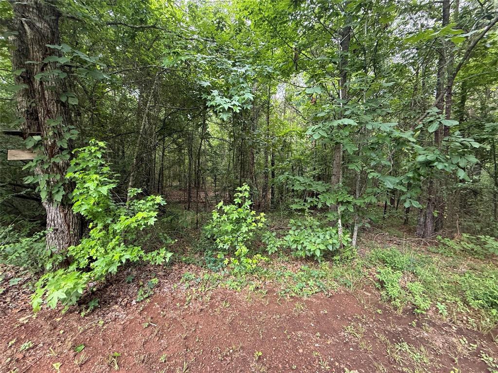 0 Crouch Road, Unit 2 Benton, LA 71006 - Photo 7 of 7 Wooded lot featuring mature trees and rich, reddish-brown soil