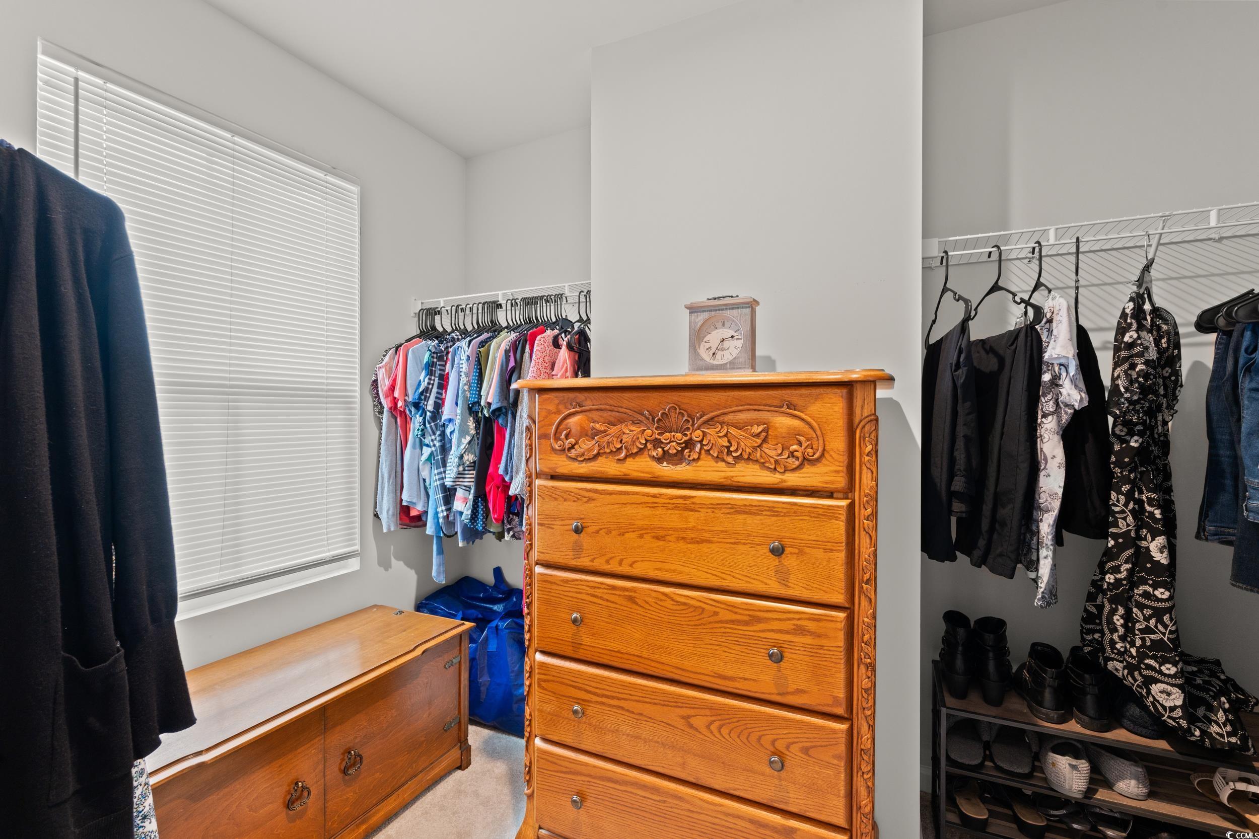 301 Granada Street, Unit D Myrtle Beach, SC 29579 - Photo 13 of 33 Spacious closet featuring light carpet