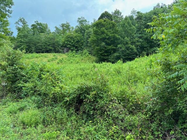 1 Mayers Road Booneville, KY 41314 - Photo 8 of 13 6