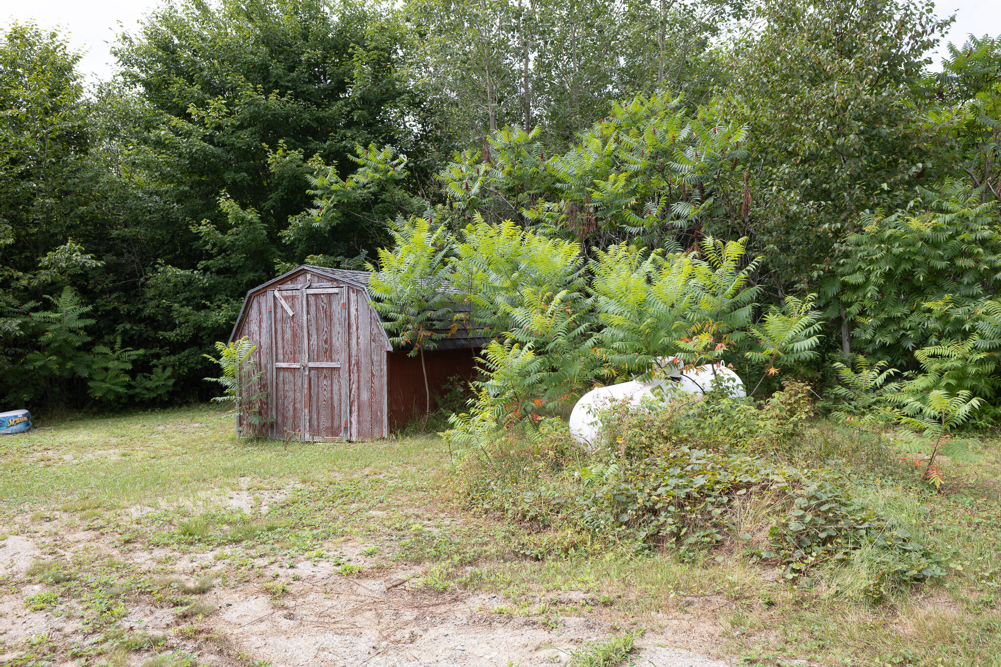 220 Eleanor Mae Road Deblois, ME 04622 - Photo 39 of 46 Shed side view