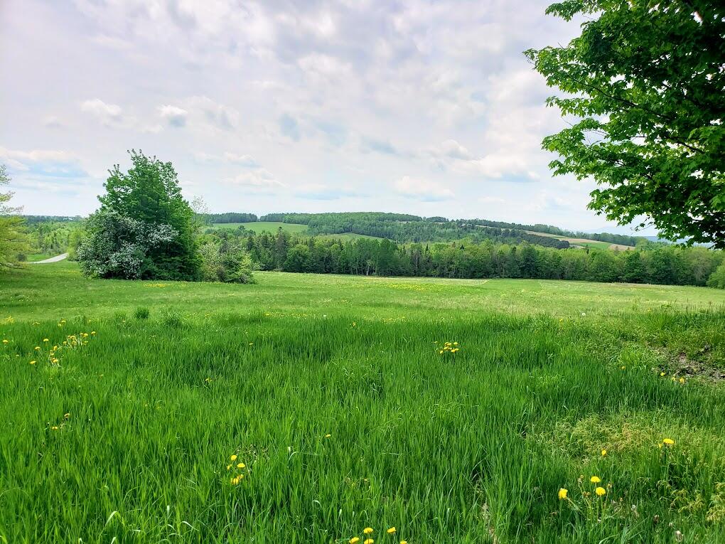 658 Golden Ridge Road Sherman, ME 04776 - Photo 10 of 15 20240522_123142
