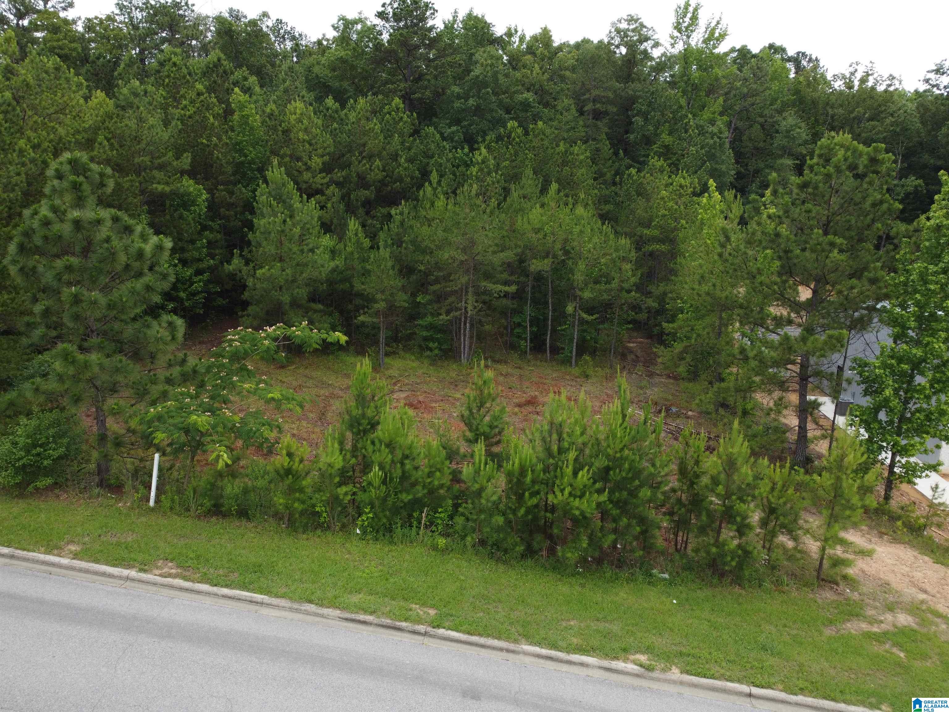 171 Applegate Trace, Unit 26 Pelham, AL 35124 - Photo 4 of 5