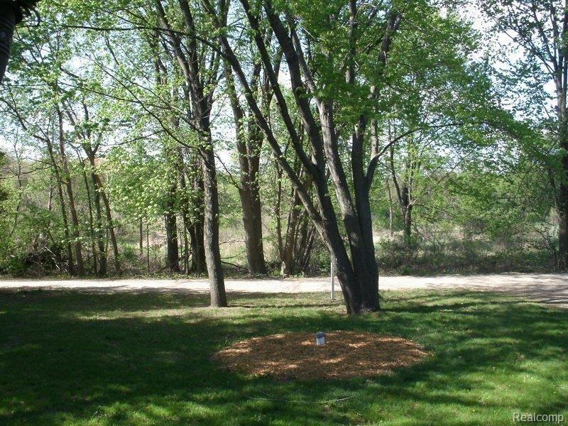 Front yard.JPG