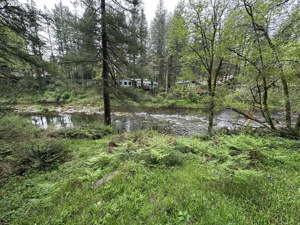 a view of a forest with trees in the background