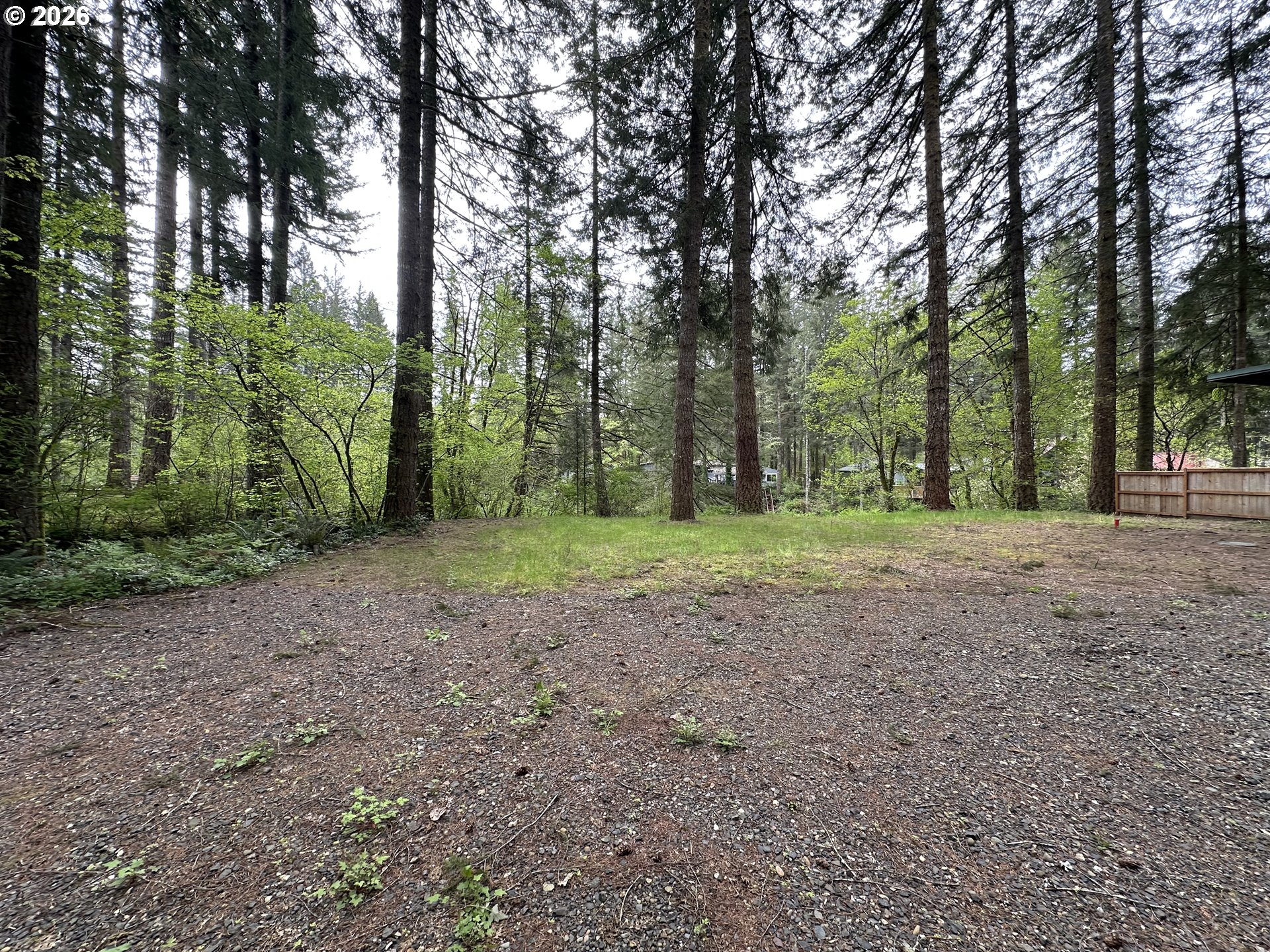 30703 Northeast Olson Road Yacolt, WA 98675 - Photo 2 of 6 a view of outdoor space with trees all around