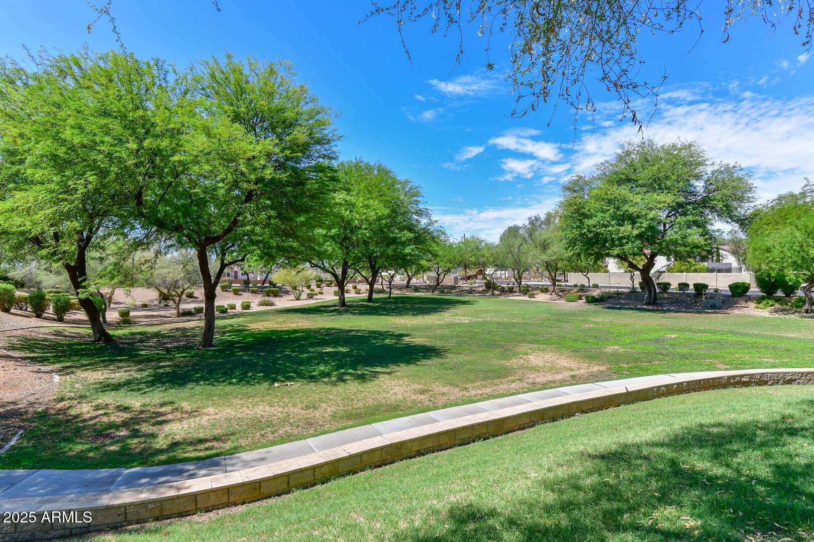 3038 West Roberta Drive Phoenix, AZ 85083 - Photo 40 of 40 a view of a park that has a lots of plants and trees