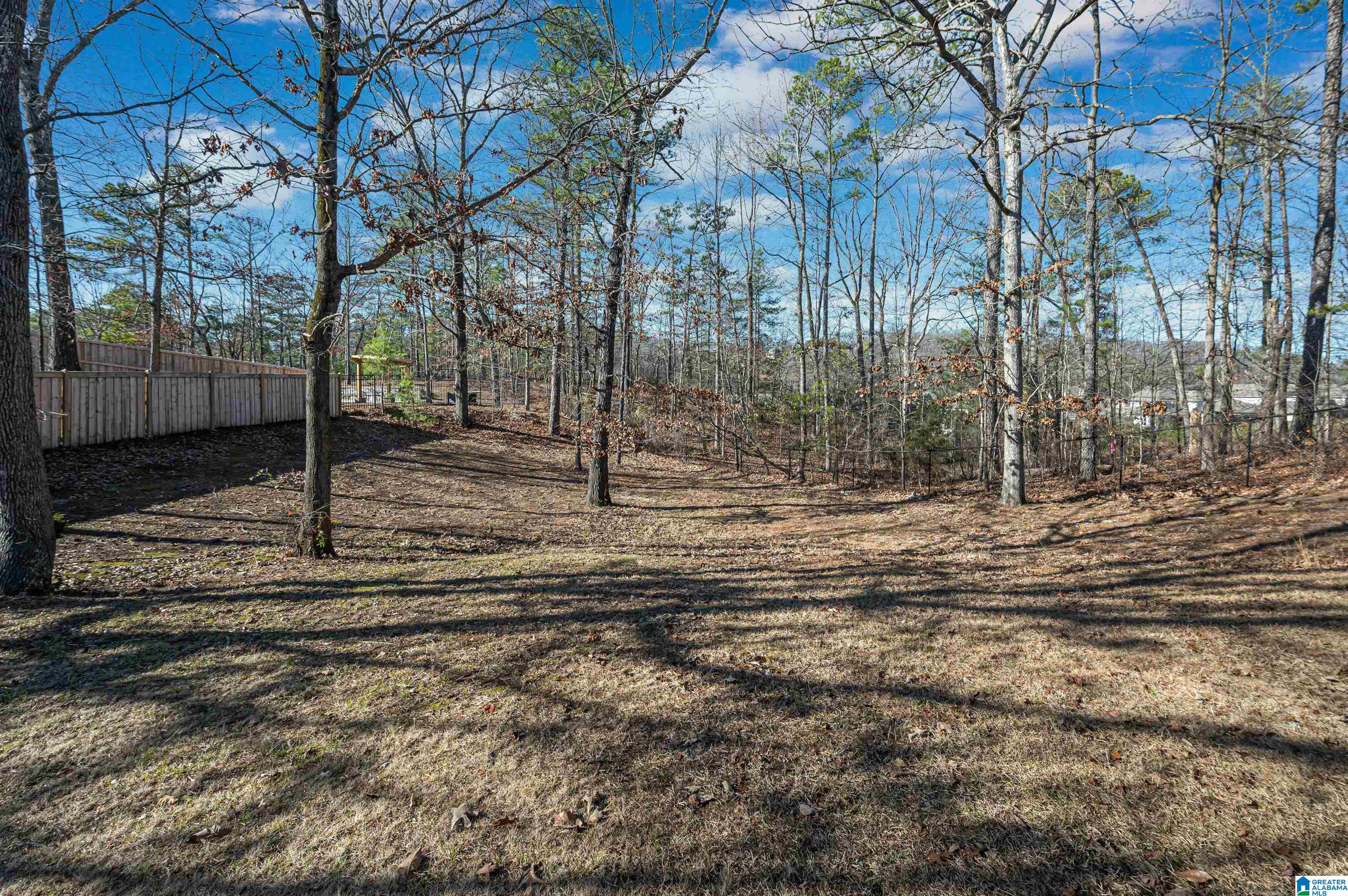 2039 Eagle Point Court Birmingham, AL 35242 - Photo 51 of 62