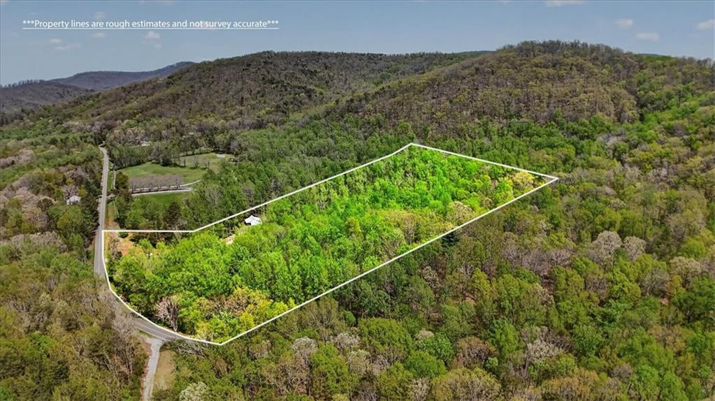 0 Grandview Road Jasper, GA 30143 - Photo 11 of 14