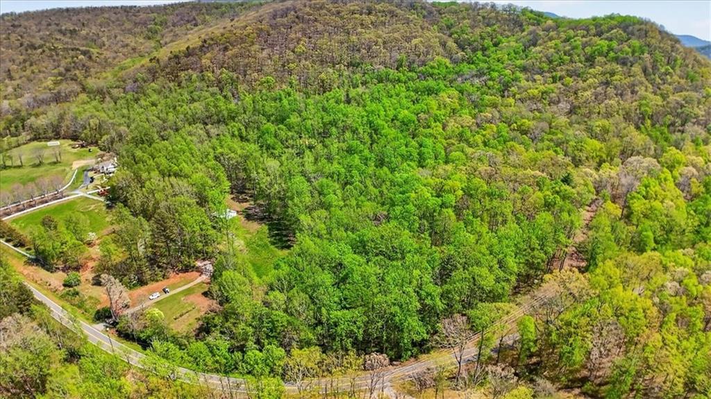 0 Grandview Road Jasper, GA 30143 - Photo 12 of 14