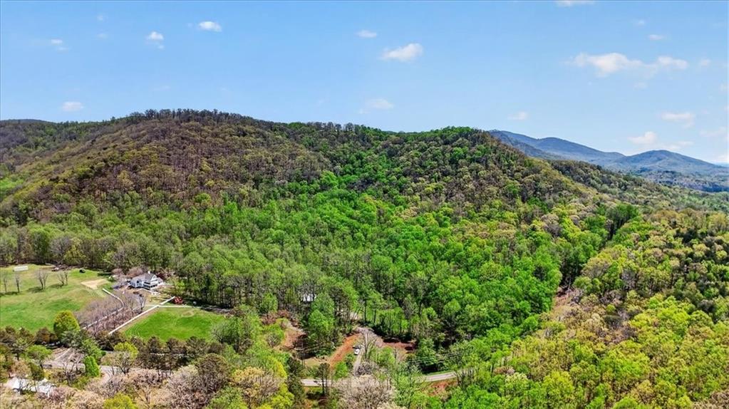 0 Grandview Road Jasper, GA 30143 - Photo 14 of 14