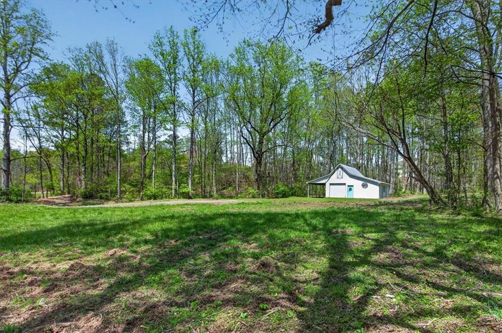 0 Grandview Road Jasper, GA 30143 - Photo 6 of 14