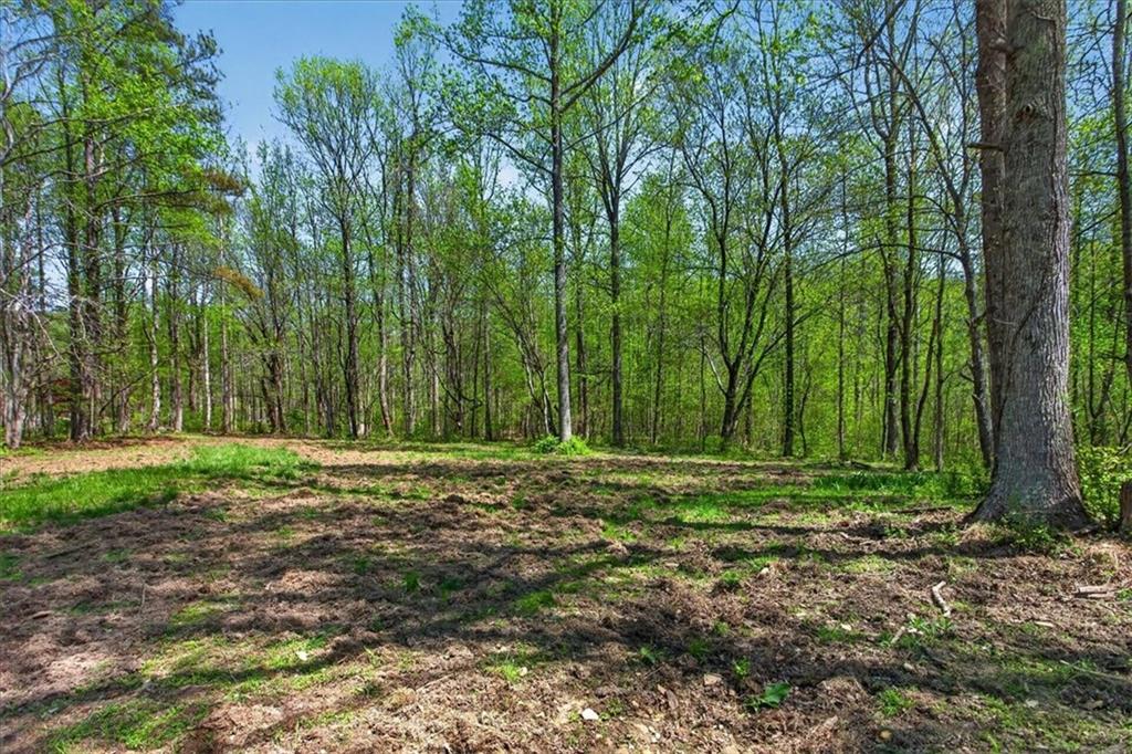 0 Grandview Road Jasper, GA 30143 - Photo 7 of 14