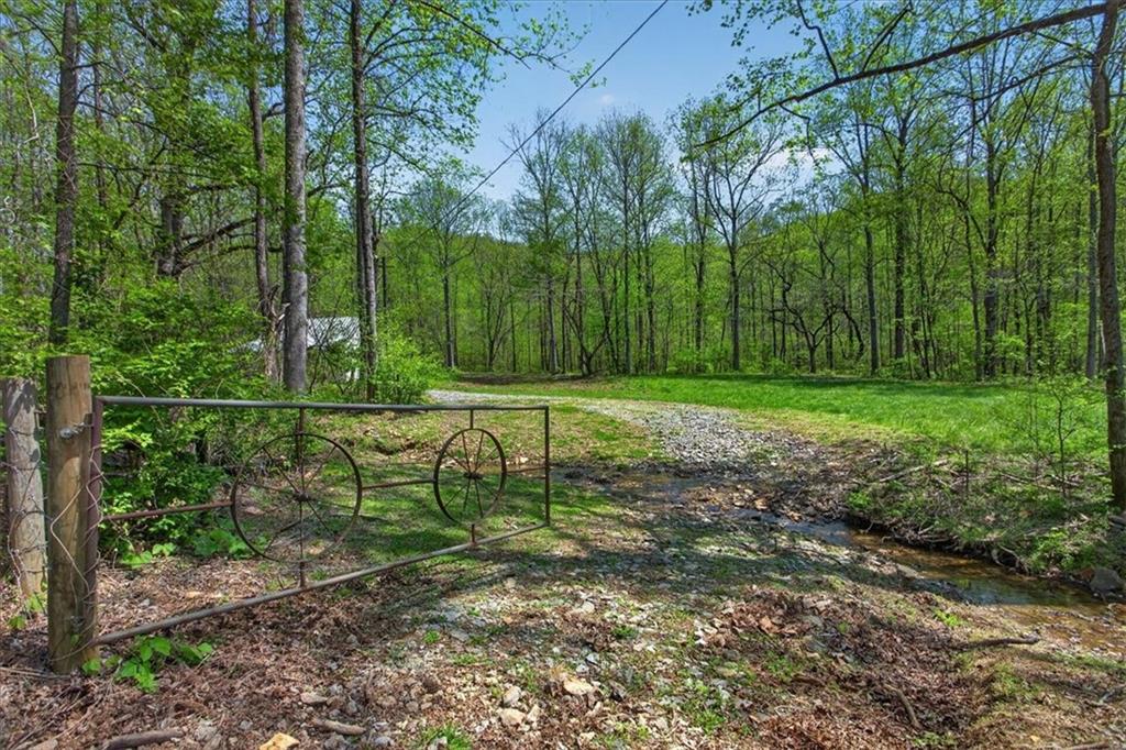 0 Grandview Road Jasper, GA 30143 - Photo 8 of 14