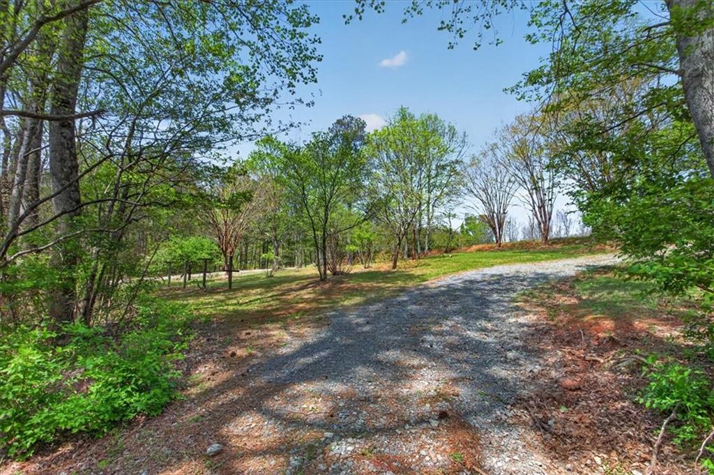 0 Grandview Road Jasper, GA 30143 - Photo 9 of 14