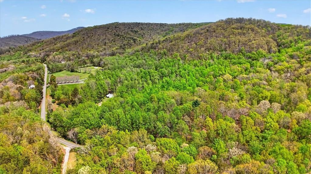 0 Grandview Road Jasper, GA 30143 - Photo 10 of 14