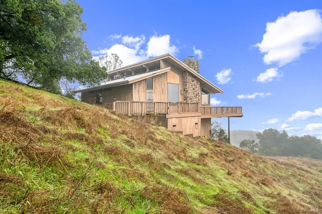 a view of a backyard with large trees