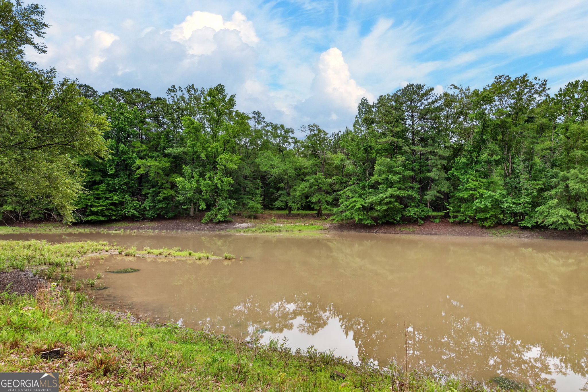 215 Boone Road Newnan, GA 30263 - Photo 38 of 67