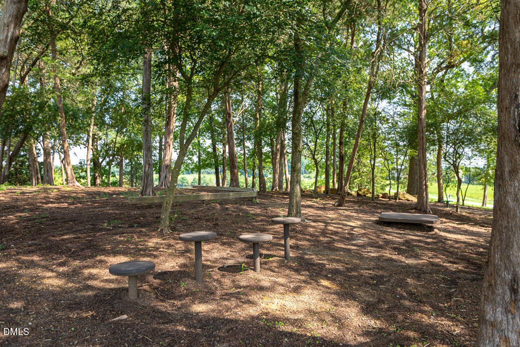 1708 Highpoint Street Wake Forest, NC 27587 - Photo 51 of 55 holden-village-wake-forest-15