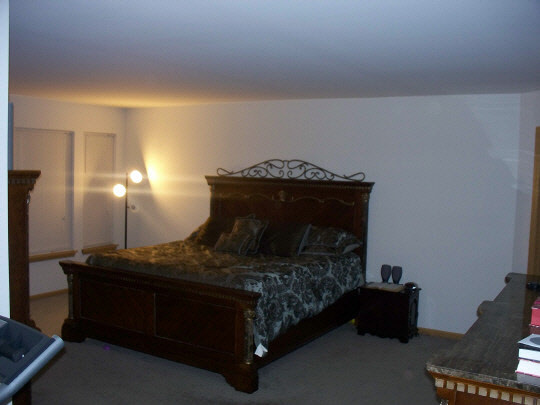 315 Ridgestone Trail Poplar Grove, IL 61065 - Photo 7 of 10 a bedroom with a bed and a potted plant