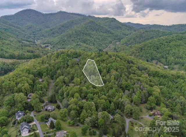 a view of a city with lush green forest