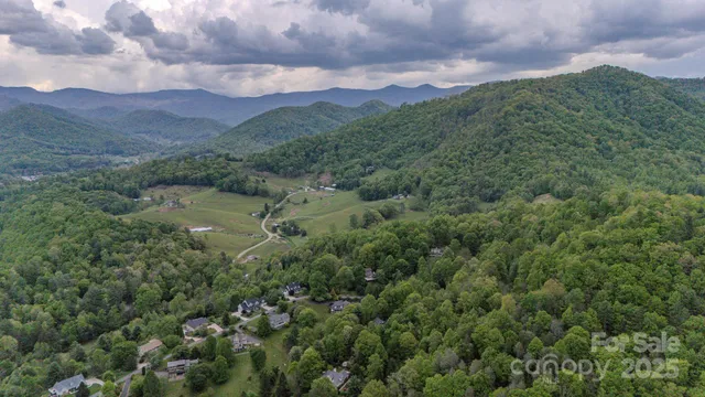 a view of a city with lots of trees