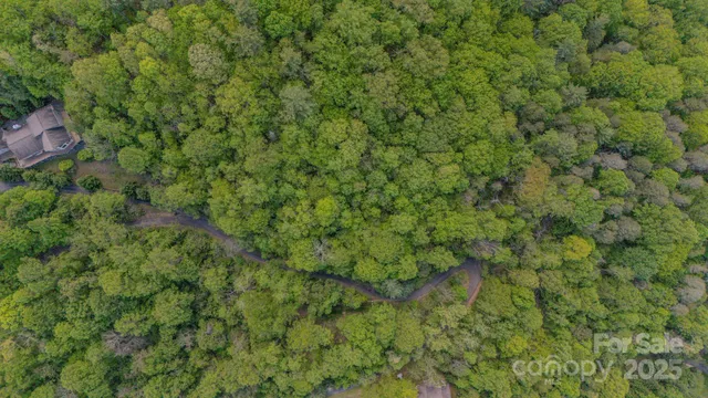 $28,000 | 0 Buena Vista Trail, Unit 25, Barnardsville, NC 28709