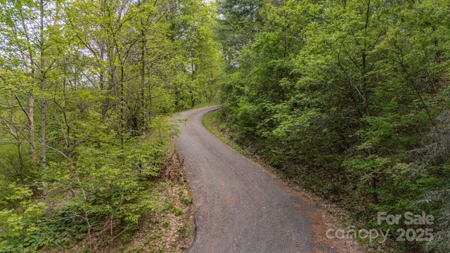 a view of a yard with plants and a brick wall