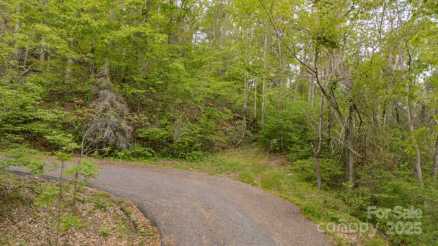 a view of a pathway both side of yard