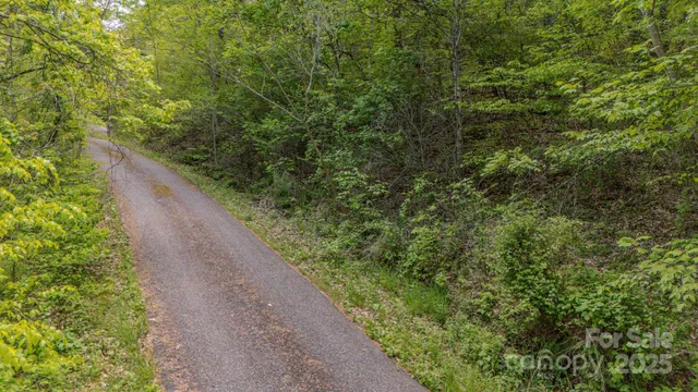 a view of a pathway both side of yard