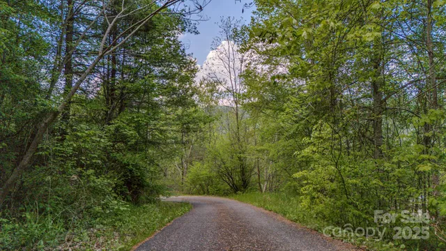 a view of a pathway both side of yard