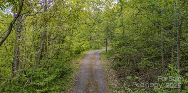 a view of a lake in middle of green field