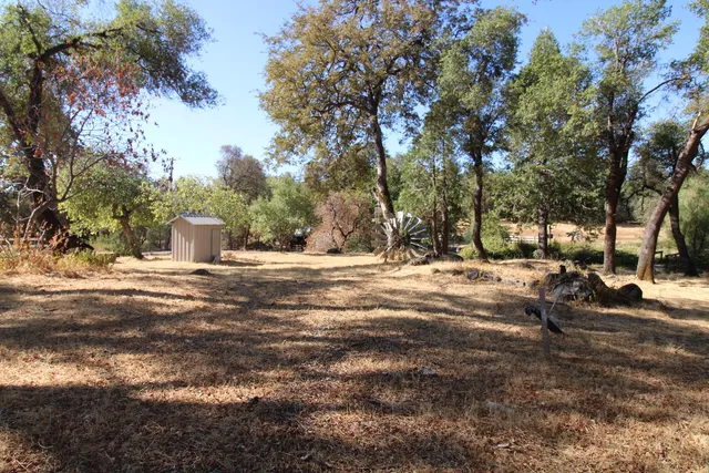a view of road with trees