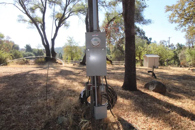 a view of a yard with plants and trees