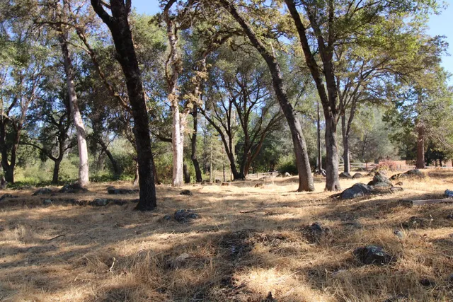 a view of empty space with trees