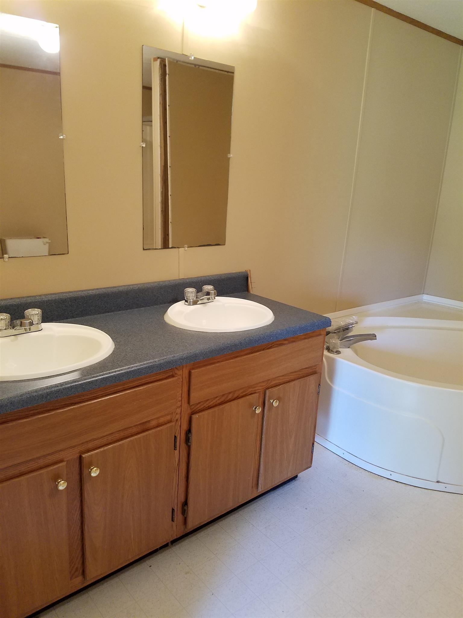 1925 Rock Bridge Road Bethpage, TN 37022 - Photo 15 of 18 a bathroom with a double vanity sink and a mirror