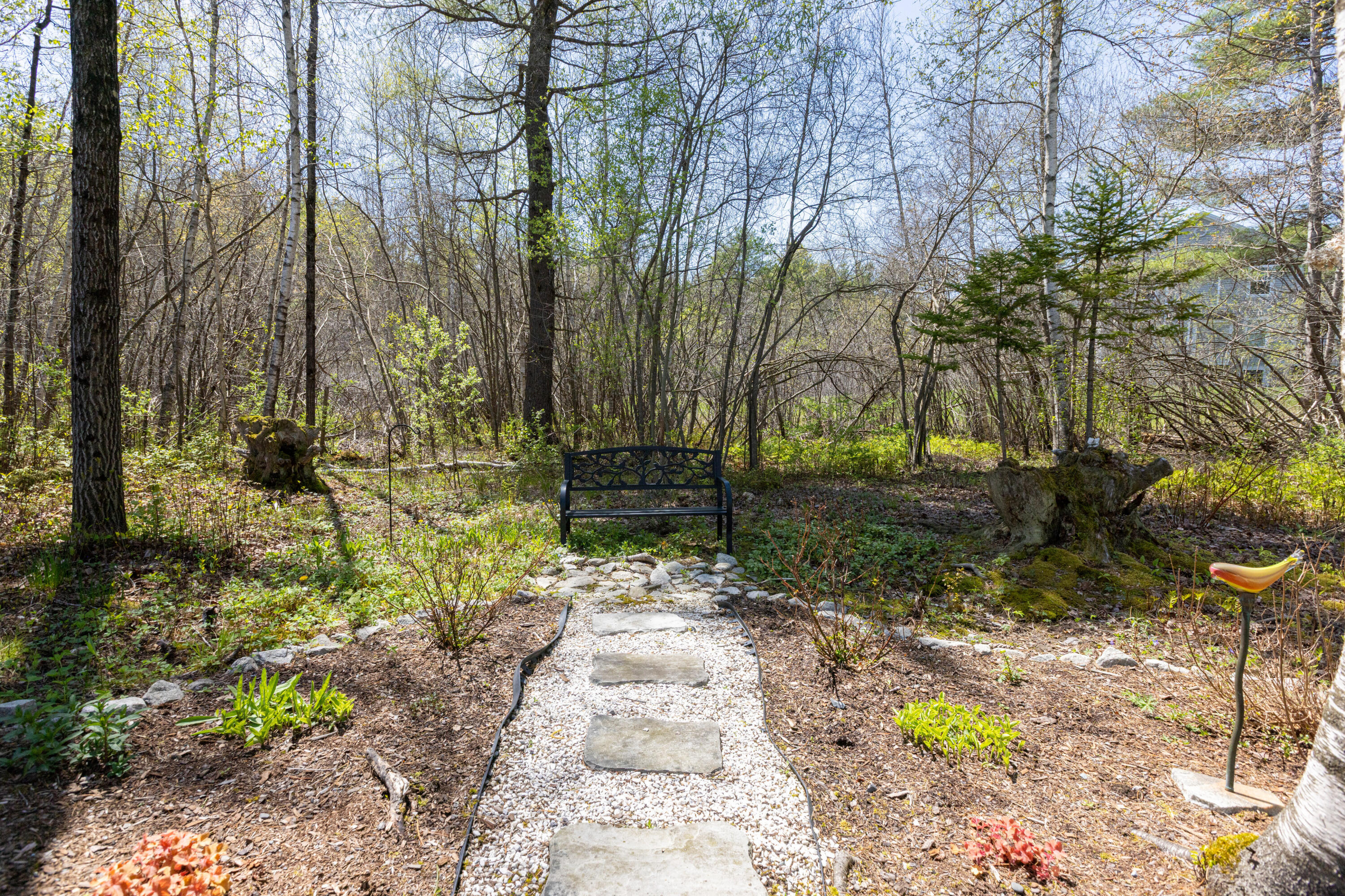 5 Baxter Lane Cumberland Center, ME 04021 - Photo 61 of 65 Back Yard