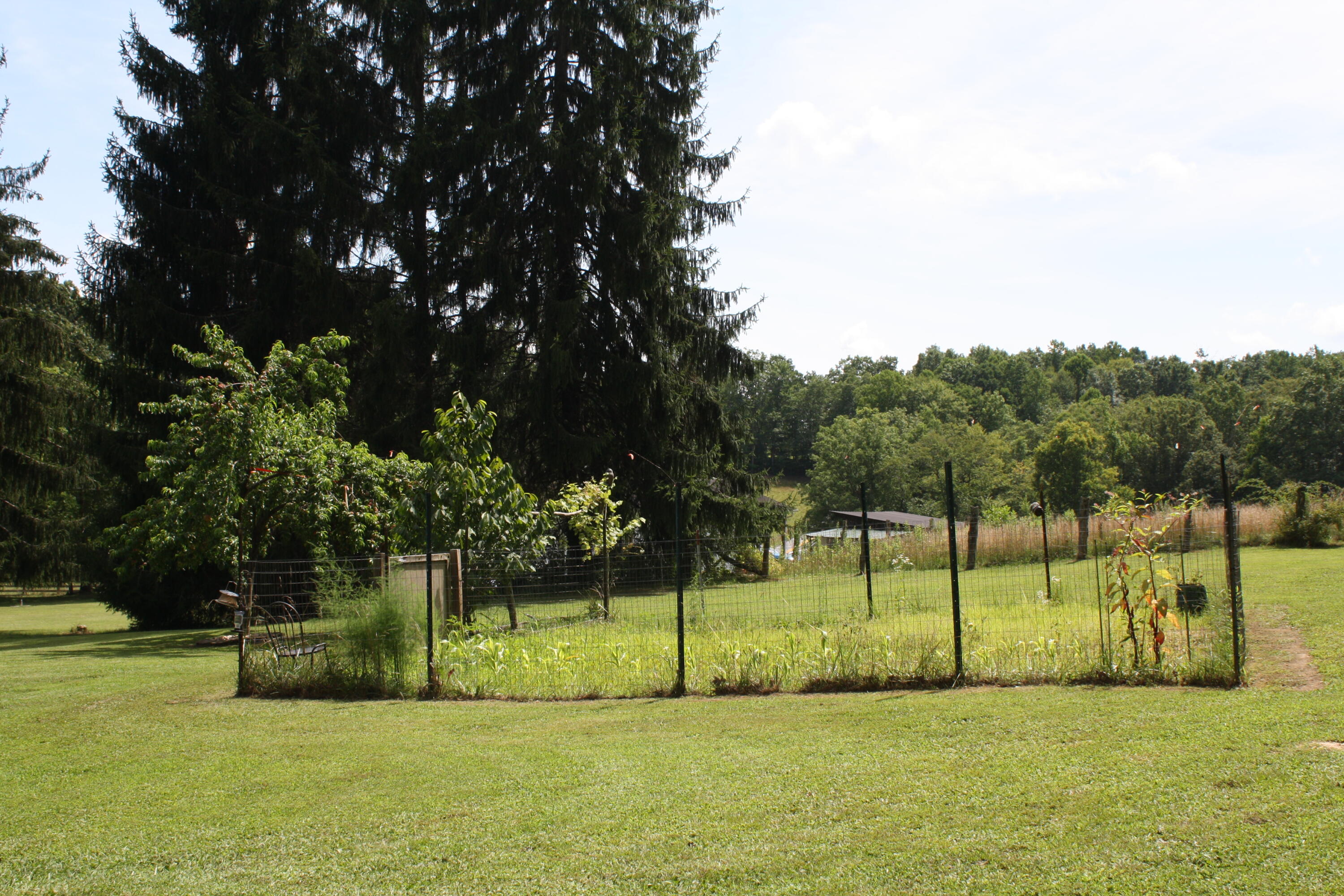 6833 Elk Knob Road Hinton, WV 25951 - Photo 48 of 52 Gallery Image 48