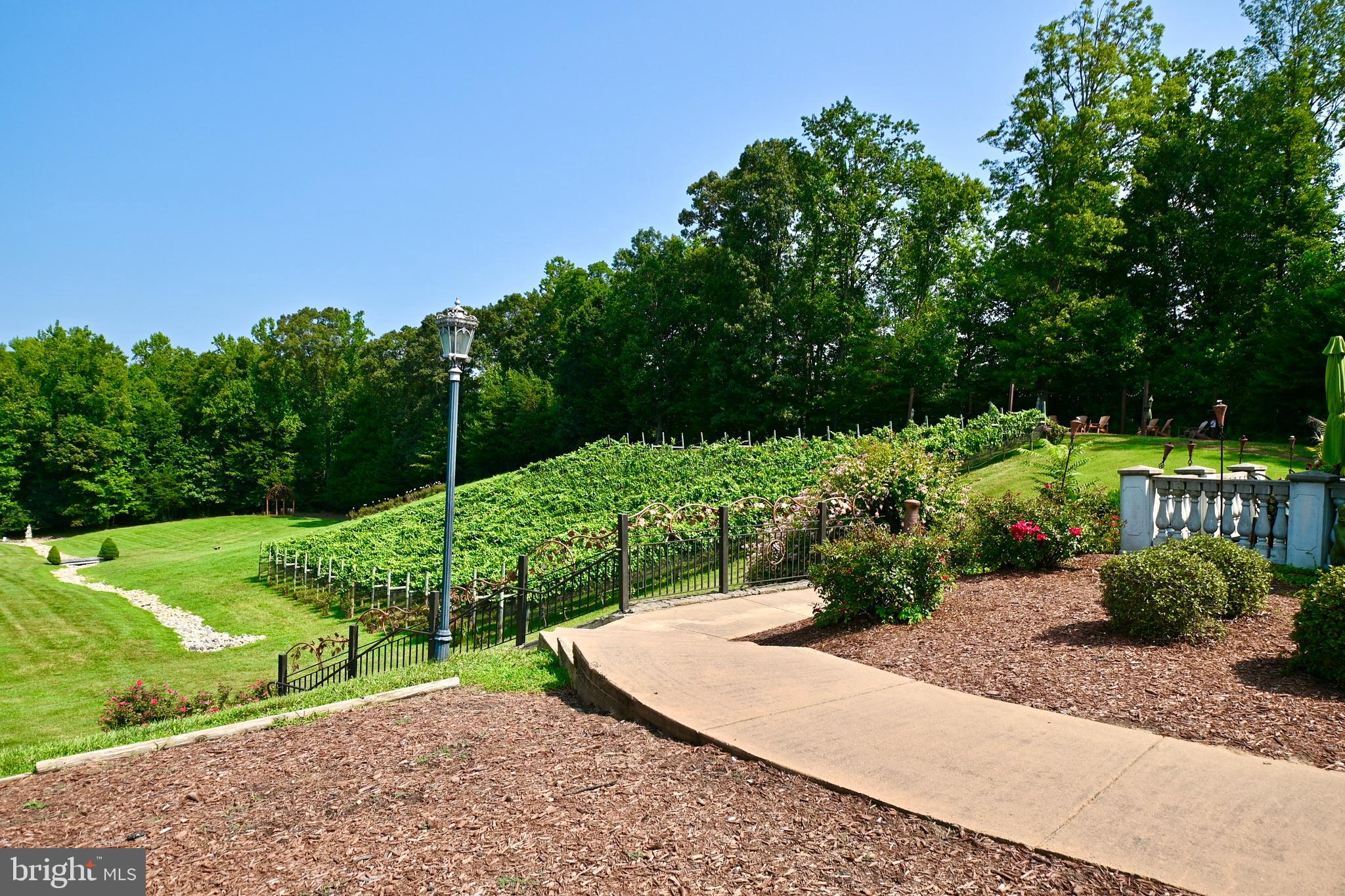 262 Decatur Road Stafford, VA 22554 - Photo 29 of 29 POTOMAC WINERY