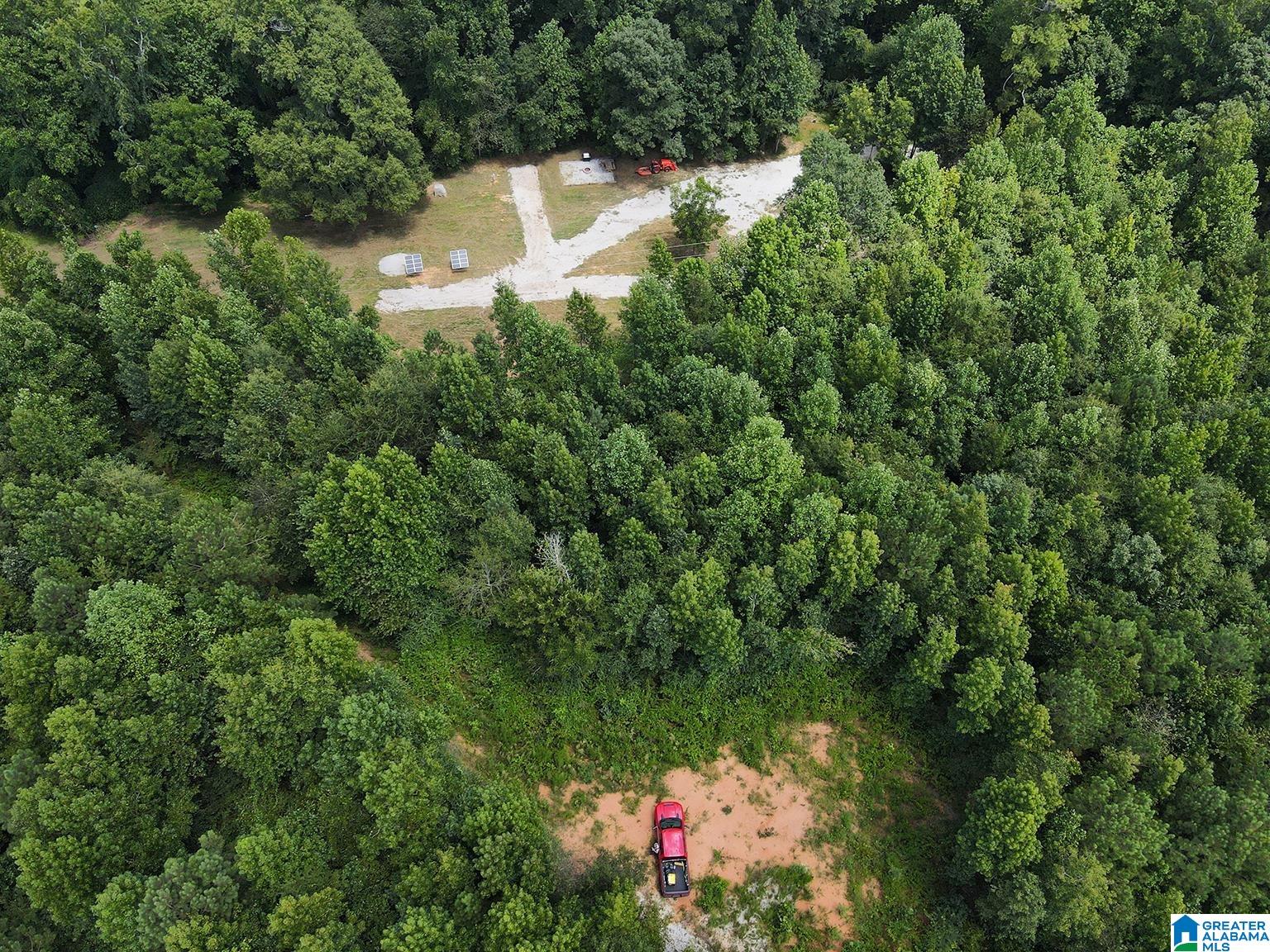 2371 Mt Moriah Road Delta, AL 36258 - Photo 21 of 50