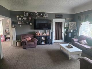 12650 Van Wert Road Homer, MI 49245 - Photo 8 of 14 20260424_094722