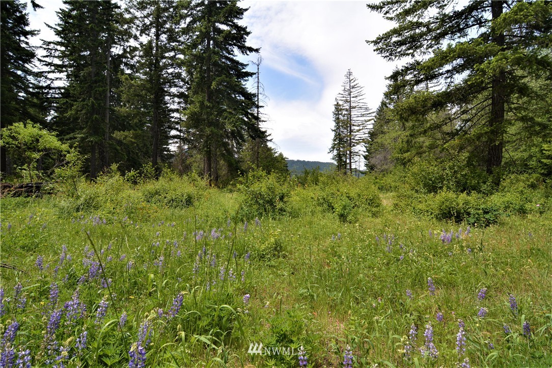 9 Talmadge Road Cle Elum, WA 98922 - Photo 2 of 15 Gallery Image 2