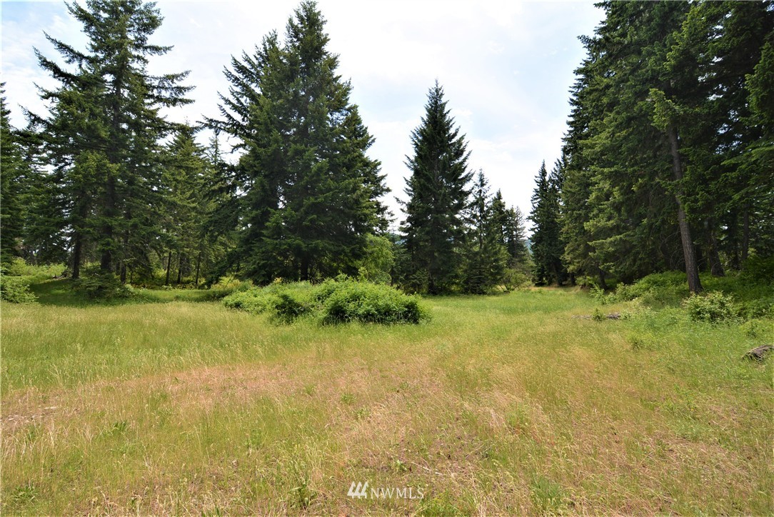 9 Talmadge Road Cle Elum, WA 98922 - Photo 12 of 15 Gallery Image 12