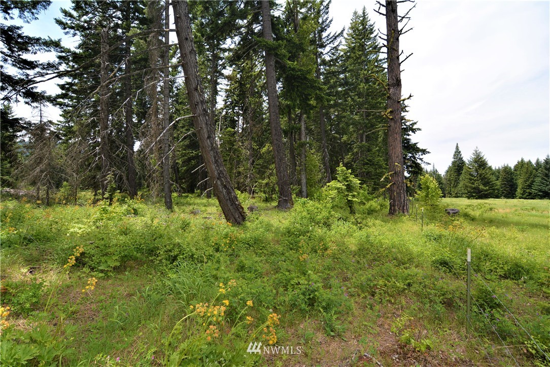 9 Talmadge Road Cle Elum, WA 98922 - Photo 13 of 15 Gallery Image 13