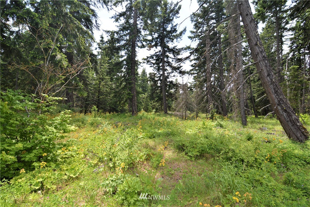 9 Talmadge Road Cle Elum, WA 98922 - Photo 14 of 15 Gallery Image 14