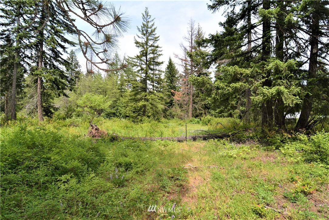 9 Talmadge Road Cle Elum, WA 98922 - Photo 4 of 15 Gallery Image 4